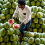 watermelon-price-drop-2026-04-2b34218561e61fe94510bf352453f3ab-1200x675.png